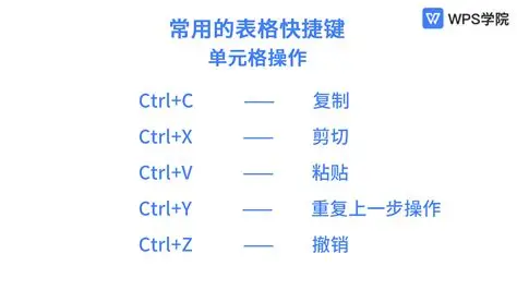 WPS 默认快捷键状态