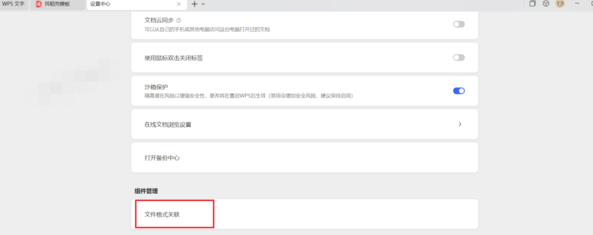 wps“文件关联”选项