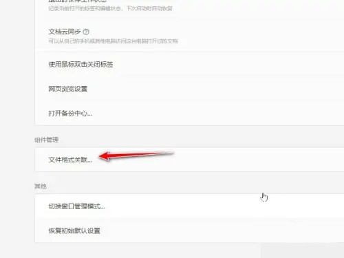 wps文件格式关联选项
