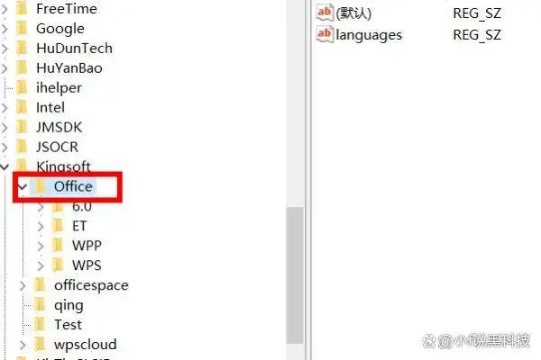 HKEY_CURRENT_USER\Software\kingsoft\Office