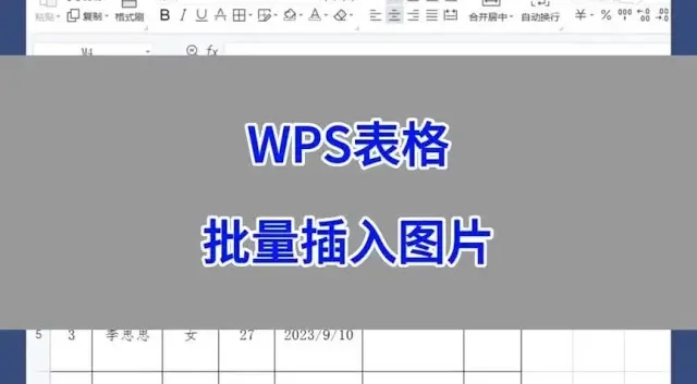 wps批量插入图片